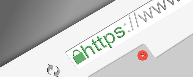 HTTPS Green Padlock Browser